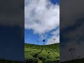 vagamon beauty of kerala travel nature viral shorts