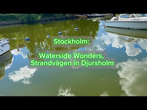 Stockholm: Waterside Wonders, Exploring Strandvägen in Djursholm