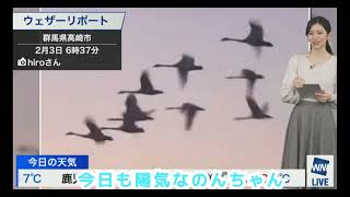 白鳥の鳴きまね、名探偵のんちゃん(2024年2月3日 #ウェザーニュースLiVE切り抜き〉#大島璃音 #お天気お姉さん