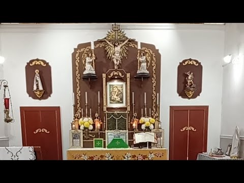 Domingo Cuarto Después de Pentecostés / San Luis Gozaga