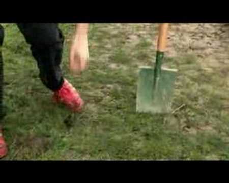 Mr Roux "Ptite Pouff"