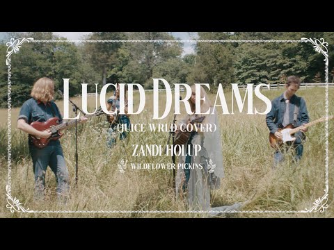 Zandi Holup - Lucid Dreams (Pickin’ in the Meadow)