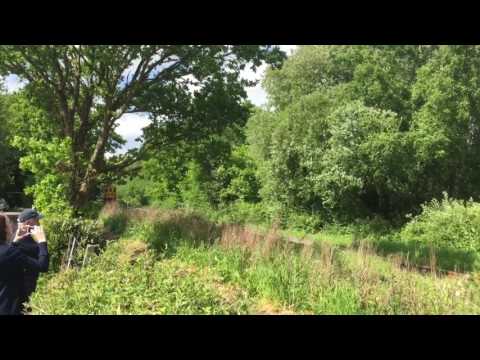 Class 201001 works the fawley forester rail tour along the fawley branch