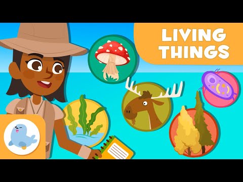 The Classification of Living Things ???? ???? 5 ANIMAL KINGDOMS ???? Science for Kids