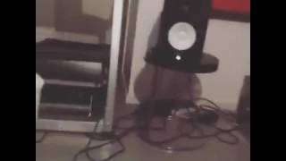 FLER x JALIL - Paradies HÖRPROBE - Epic - 19.05.17