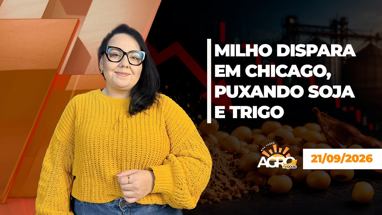 BOA TARDE AGRONEGÓCIO - Milho dispara em Chicago, puxando soja e trigo