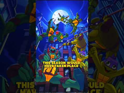 The Cancelled Season for the Ninja Turtles 2003 show - TMNT: Overload