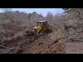 Long Professional Work of Caterpillar D7g Bulldozer Operator #caterpillar #bulldozer