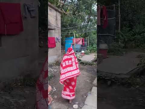 #tree #🤞🥰🤞#mango ok ok