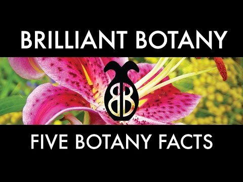 Five Botany Facts!