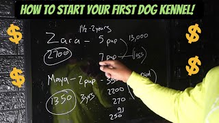 How to Start your First Kennel