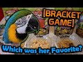 Cooked Food Tested By Our Macaw Worldly Cuisines
