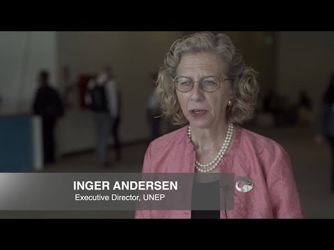 Multi-stakeholder Forum INC-1 | UNEP - UN Environment Programme