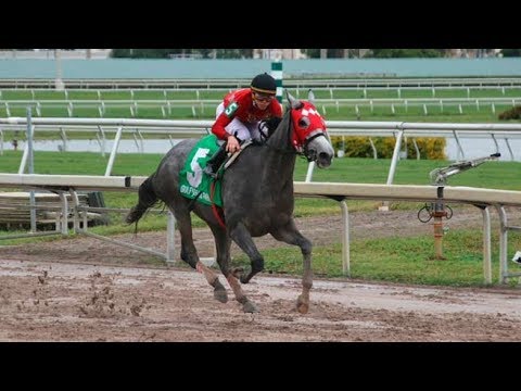 Jaguaryu (MEX) - Dama del Caribe 2017
