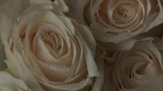 VVS featuring Calvin Ross  Love & Appreciate Ya  Lyric Video