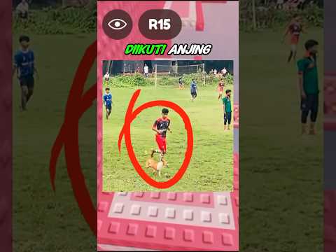 Anjing Cuma Ikut Main, Malah Jadi Korban Emosi Pemain! 😳⚽