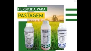 Herbicidas para pastagens aplicado com drone agricola de pulverização DJI AGRAS T10
