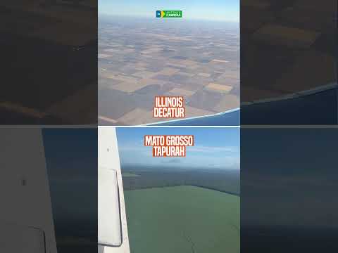 A DIFERENÇA ENTRE ILLINOIS E TAPURAH