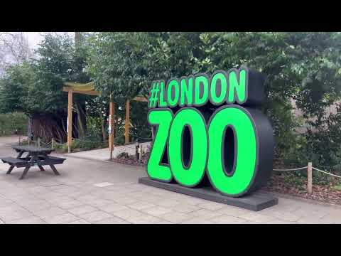Explore with us: London Zoo! 2024