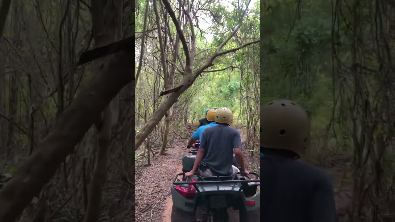 YouTube Short thumbnail