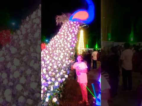 Flower show Vadodara 2025 | Gujarat refinery |@ItsDhritiLife #vadodara #flowershow #2025 #refinery