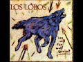 Los Lobos   Don't Worry Baby