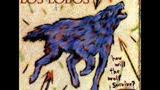 Los Lobos   Don&#39;t Worry Baby