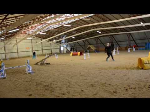 Topi A1  futam II  Kraft Ujev Kupa 20200105