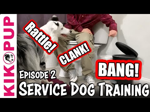 STOP UNWANTED behaviors with BACK UP