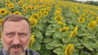 AM FORTRESS | Image 3 - Agroline