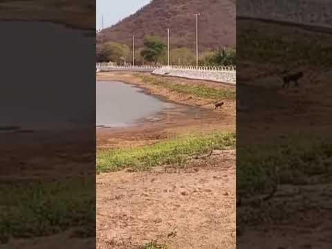 20 de outubro de 2025