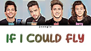 One Direction - If I Could Fly (Color Coded - Lyric)