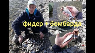 Ловля плотвы в марте на вятке киров