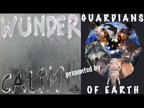 Christoph CALiM - Wunder (Official Music Video)