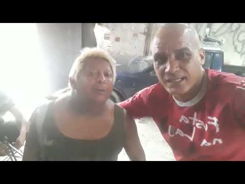 Patixa de volta em MANAUS