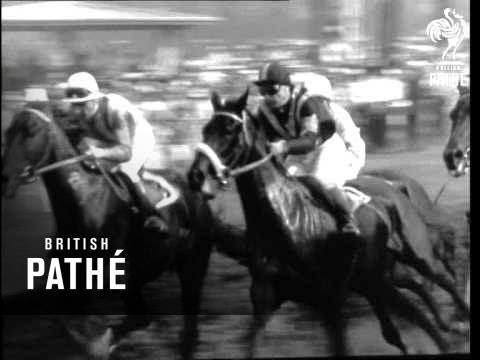 German Derby 1961 Won By Baalim (1961)