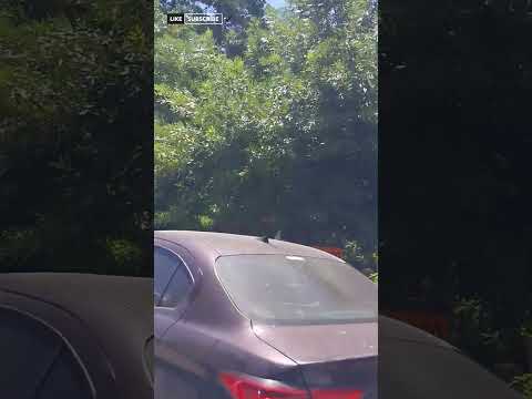 🇦🇷La Capital del Mármol Ónix✨️ #LaToma #SanLuis #TurismoArgentina #MarmolOnix #rodanteros