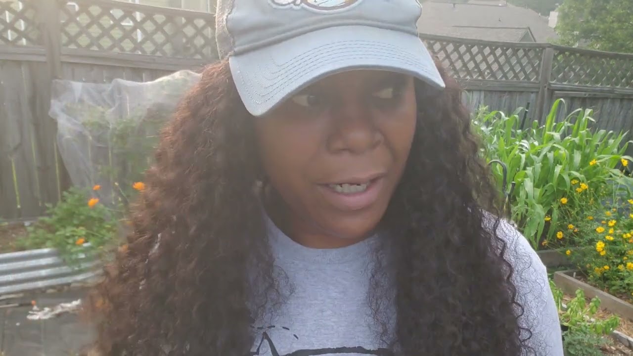 YouTube Video: Exciting First Harvest Of The Season: Crop Of Tomatoes, Beans, & Peppers