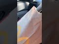 Girl Gives A Homeless And Hungry Dog Her Burger