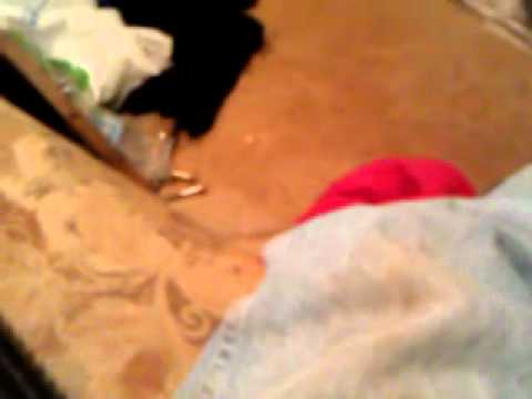 TruGlo TFO ( Tritium Fiber Optic) Sight Review