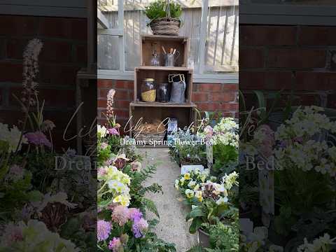 後続のバーベナとその他の後続の花（フルサンプランター用）