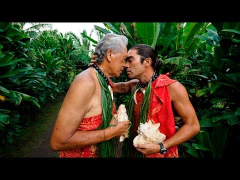 Trailer - Sons of Halawa