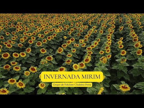 Pré-estreia Invernada Mirim - GF Chaleira Preta