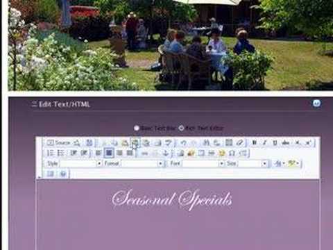Copying From Word To DotNetNuke