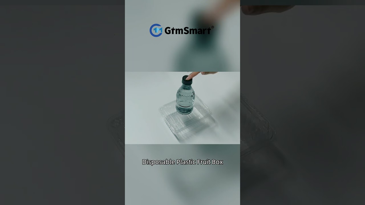 Wholesale PET Clamshell Fruit Packaging Box with Holes | Durable & Ventilated Packaging Solutions‌