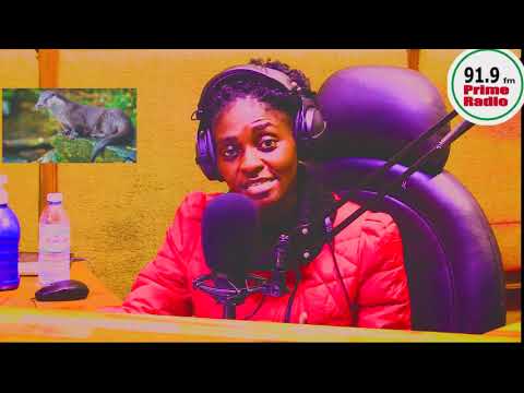 Program Olukya Obutonzi Egonge[Otter] part1