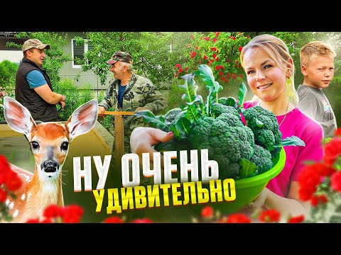 ЧТО ПРОИСХОДИТ В МОЁМ ОГОРОДЕ В ИЮНЕ? ПЕРВЫЙ УРОЖАЙ И ЛЕСНЫЕ СЮРПРИЗЫ!