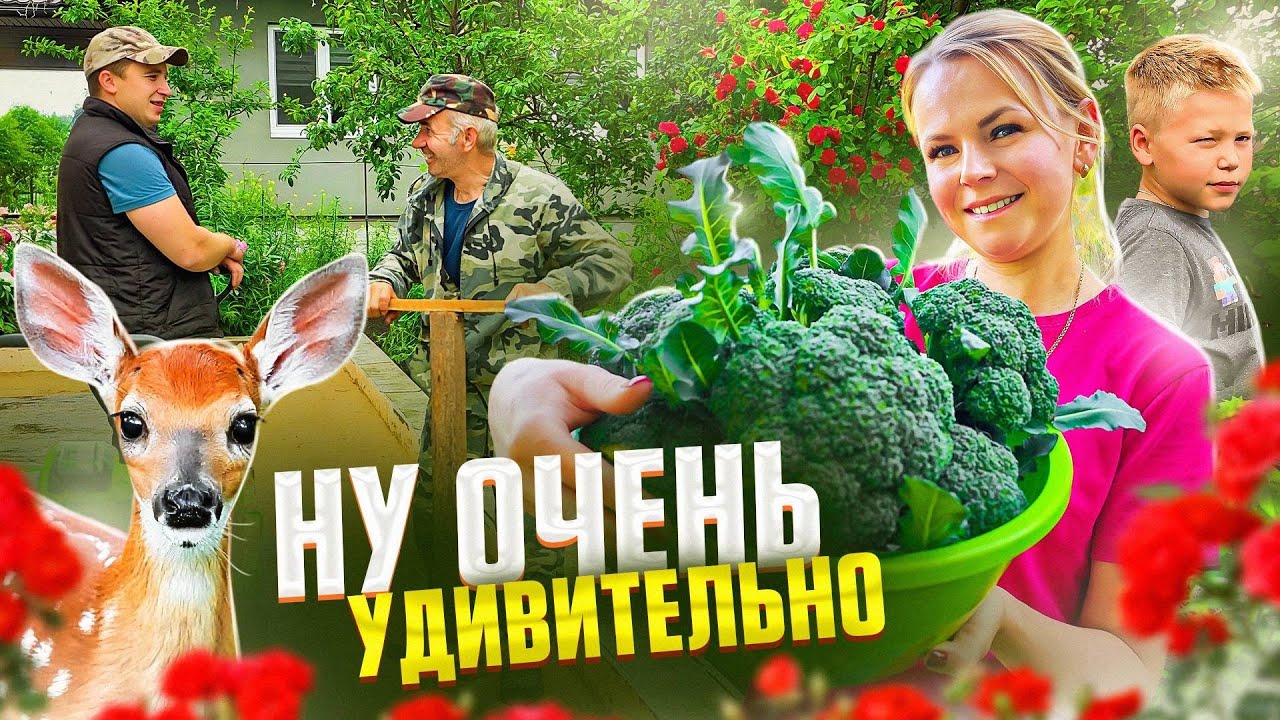 ЧТО ПРОИСХОДИТ В МОЁМ ОГОРОДЕ В ИЮНЕ? ПЕРВЫЙ УРОЖАЙ И ЛЕСНЫЕ СЮРПРИЗЫ!