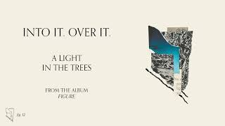 A Light in the Trees Music Video