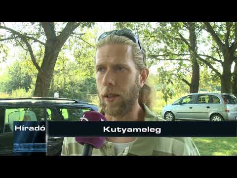 Híradó – 2018. július 31.